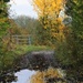 More autumn colours by 365jgh