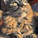 Our rescue cat Gracie  by radiogirl