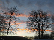 2nd Dec 2021 - Winter tree silhouettes at sunset