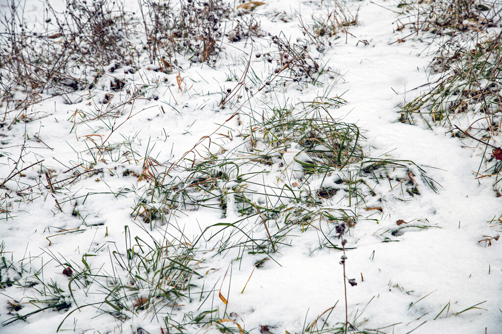 December Words - Sand / Snow by farmreporter