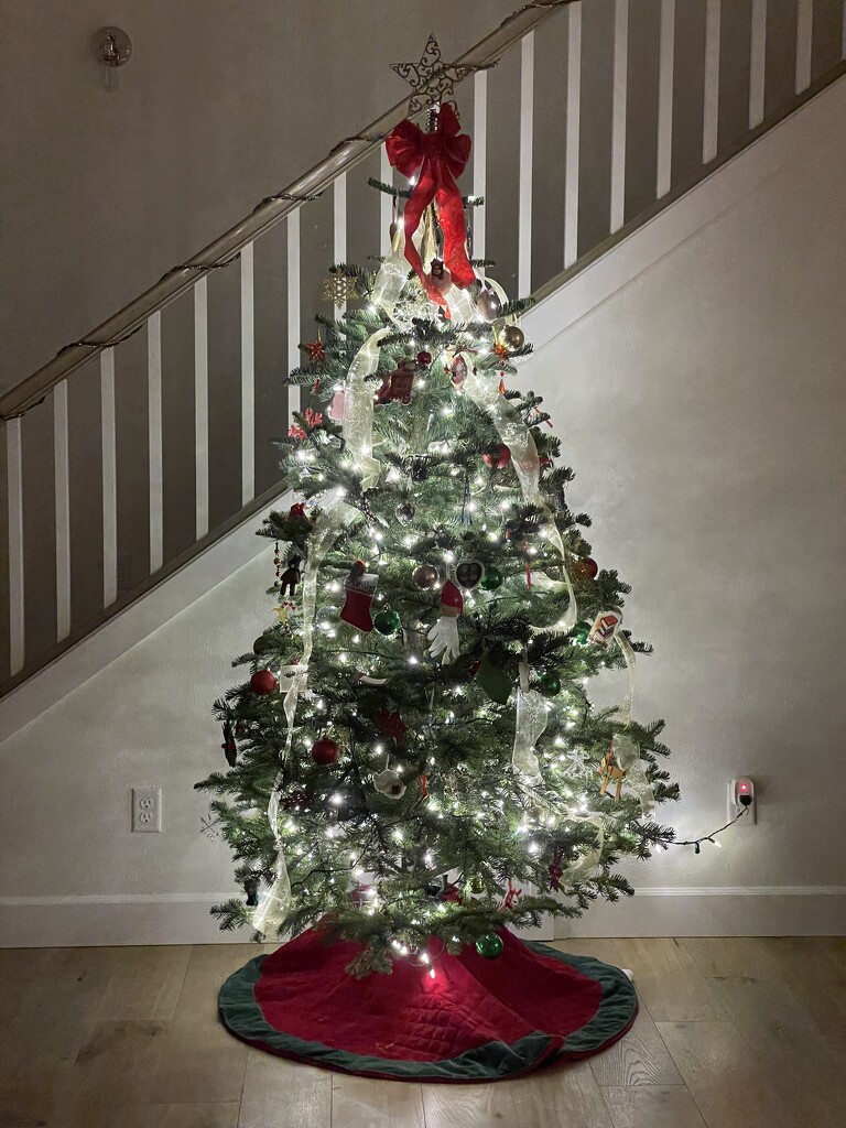 O’ Christmas Tree by dei365
