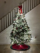 4th Dec 2021 - O’ Christmas Tree