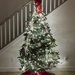 O’ Christmas Tree