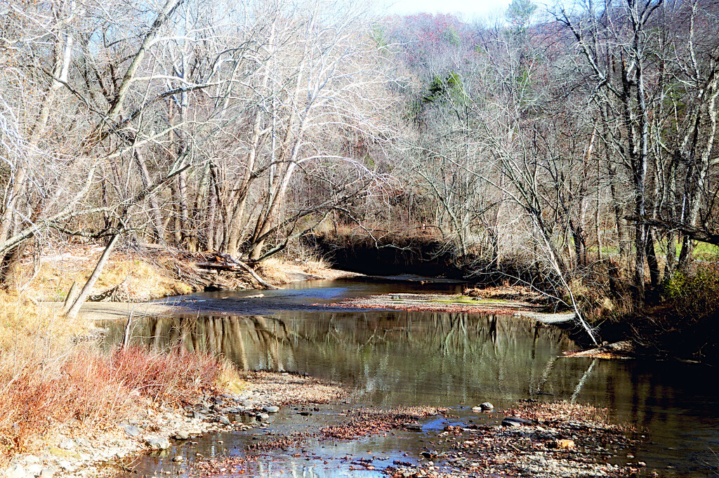 winter creek by francoise