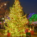 The Tree is Up…. Lit up  by ramr