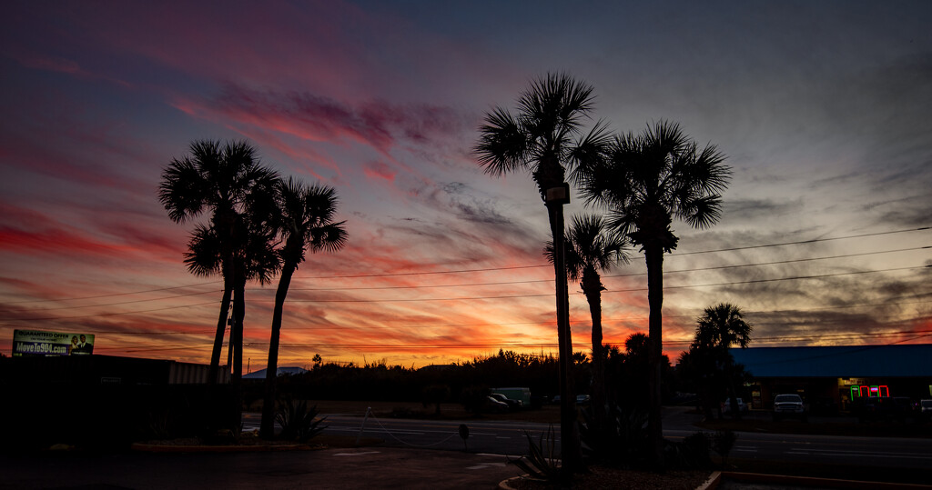 Sunset and Palm Trees! by rickster549