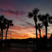 Sunset and Palm Trees! by rickster549