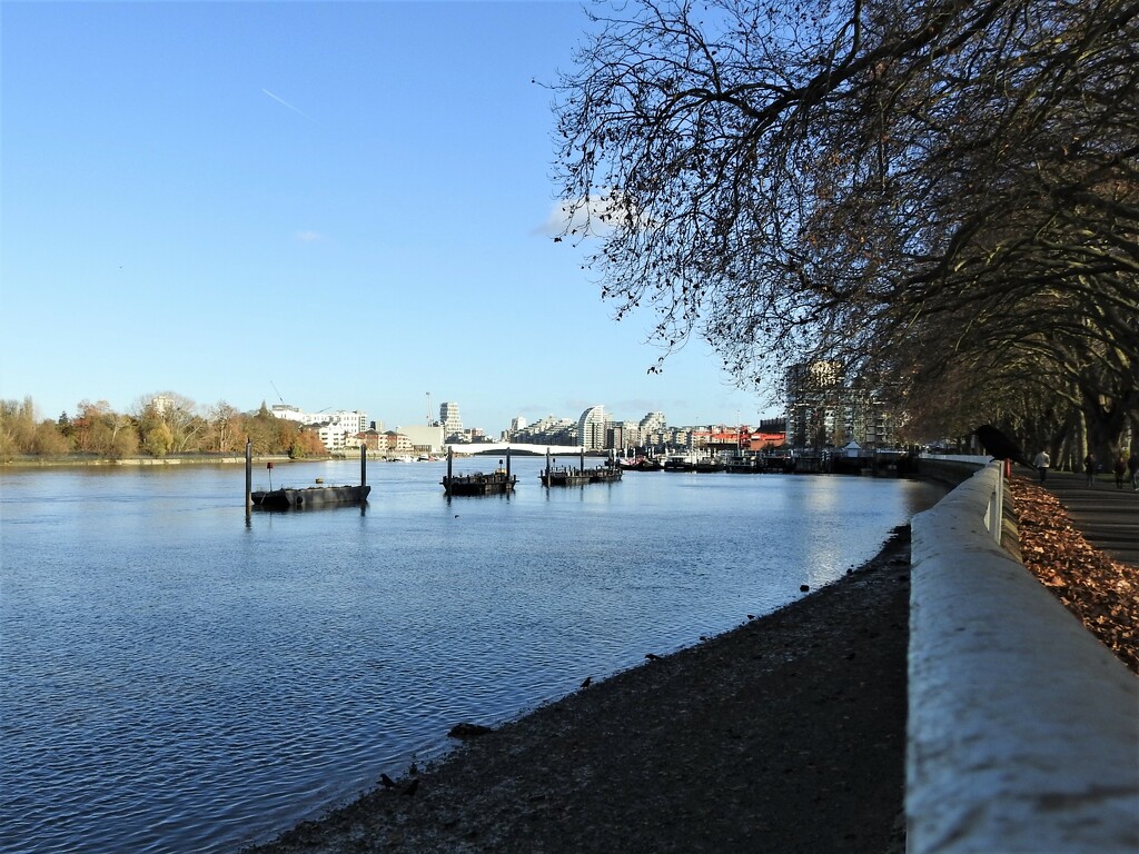 The Thames  from Wandsworth Park by oldjosh