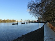 22nd Nov 2021 - The Thames  from Wandsworth Park