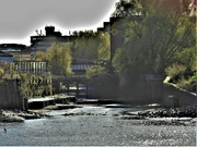 22nd Nov 2021 - River Wandle