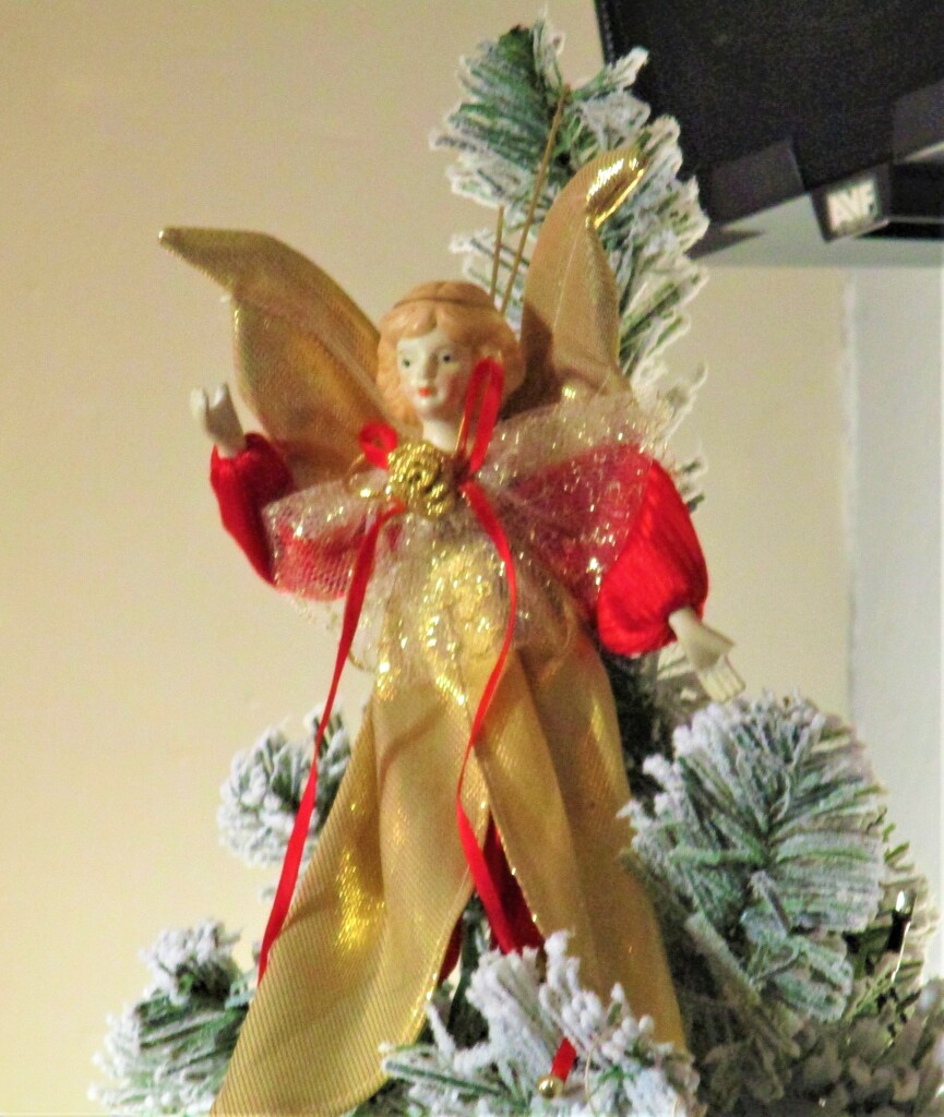 Our faithful Christmas Angel. by grace55