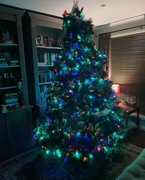 5th Dec 2021 - Oh Christmas Tree