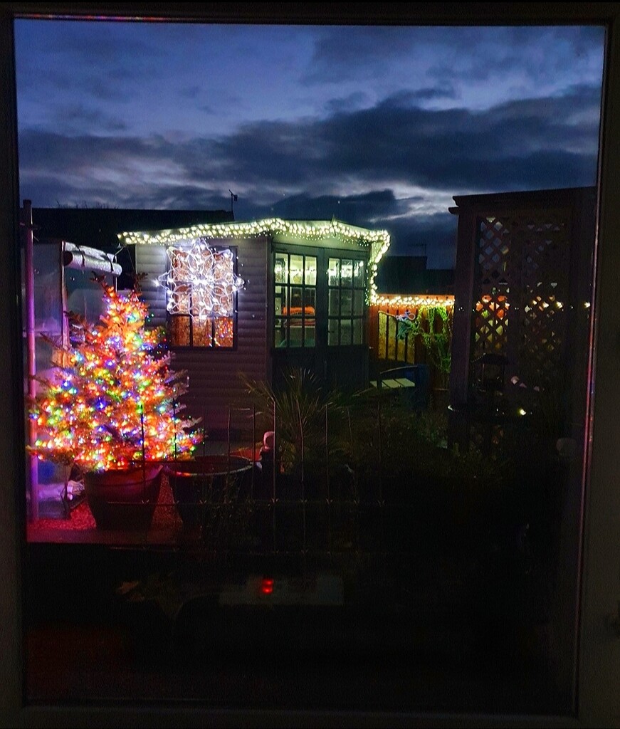Christmas Through The Window. by teresahodgkinson