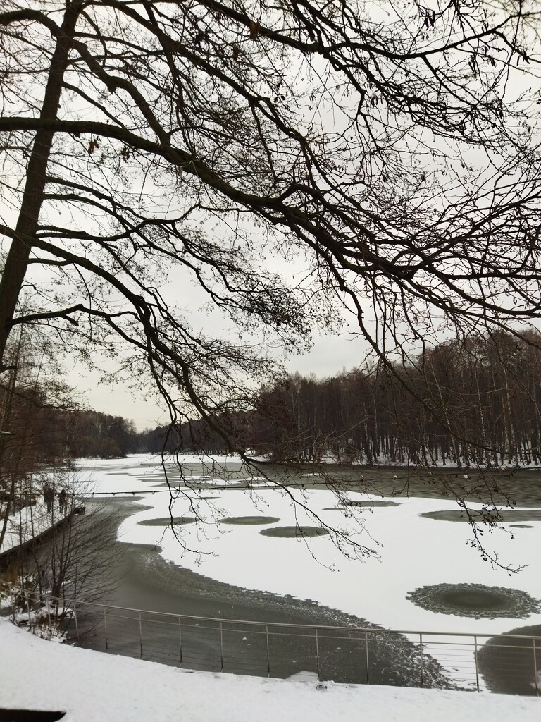 Зима ❄⛄ by nyngamynga