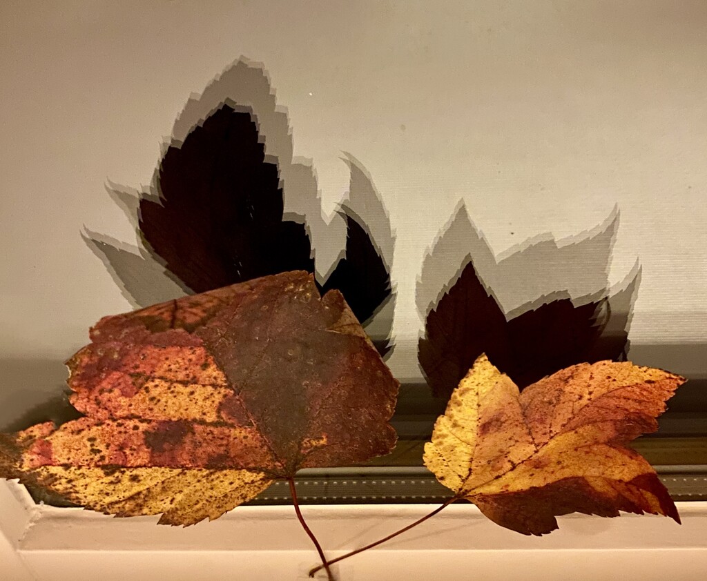 Autumn in da house  by stimuloog