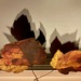 Autumn in da house  by stimuloog