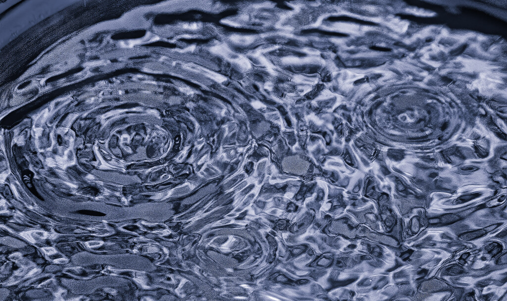 Raindrop Patterns cyanotype by k9photo