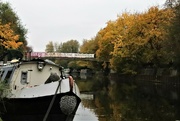 24th Nov 2021 - Stratford Canal