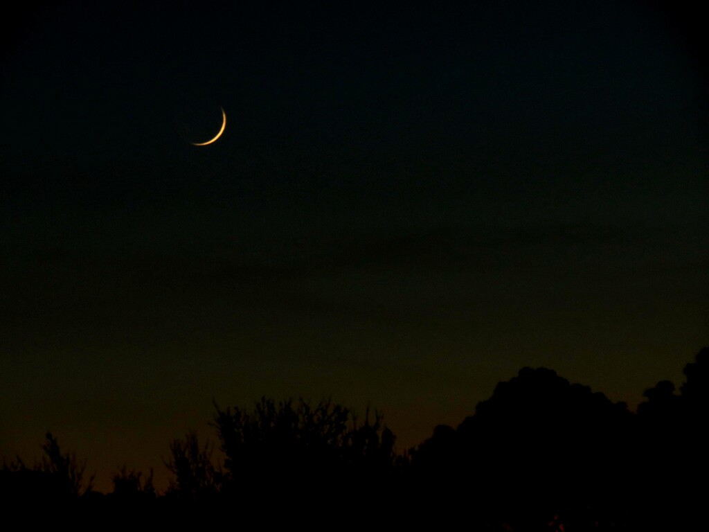 A Sliver of the Moon by grammyn