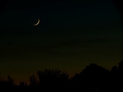5th Dec 2021 - A Sliver of the Moon