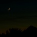 A Sliver of the Moon by grammyn