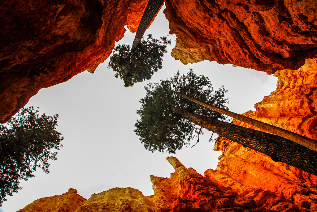 Bryce Canyon by cwbill