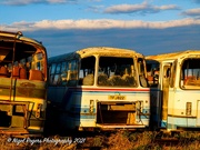 6th Dec 2021 - bus graveyard