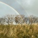 Double rainbow by cafict