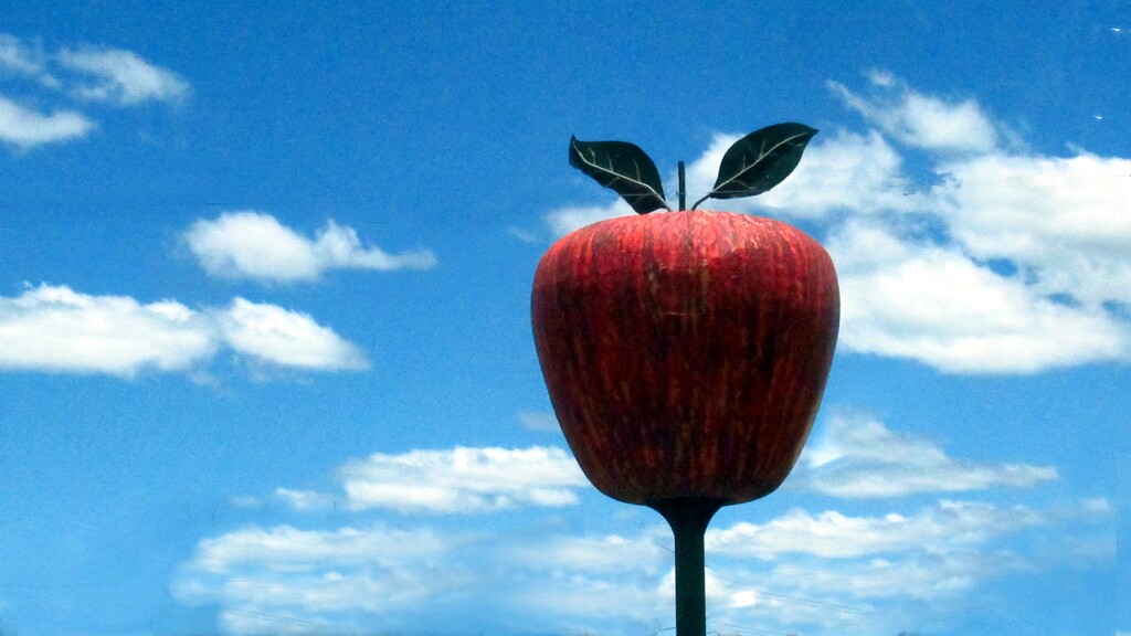 The Big Apple.. by robz