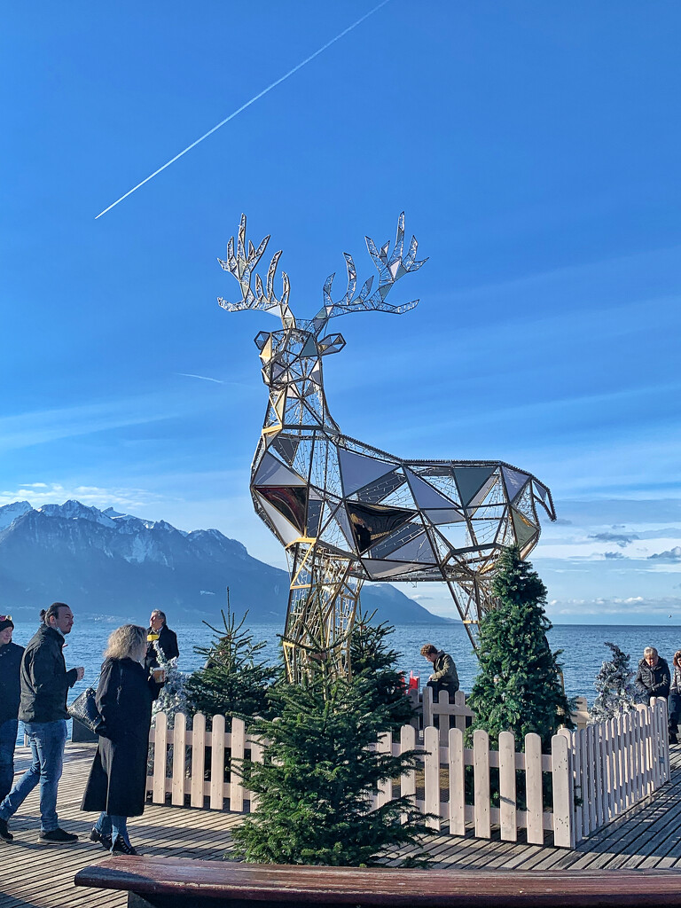 Big reindeer.  by cocobella