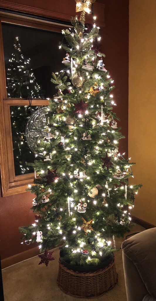 Our tree by pennyrae