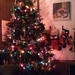 My  Christmas Tree early in the morning by julie