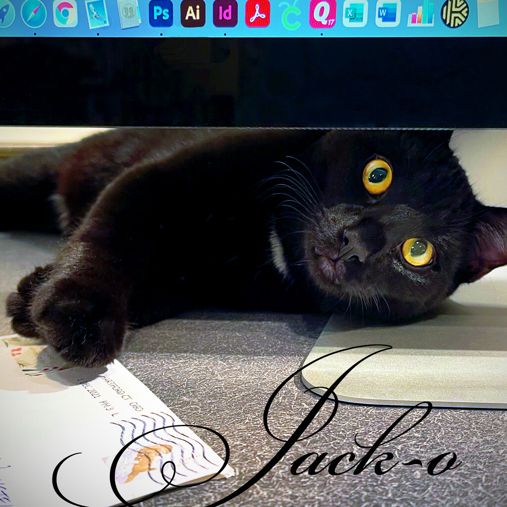 Jack & My Computer Monitor by yogiw