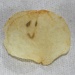 Happy chip by svestdonley