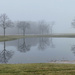 Reflections and fog sort of my thing lately by joansmor