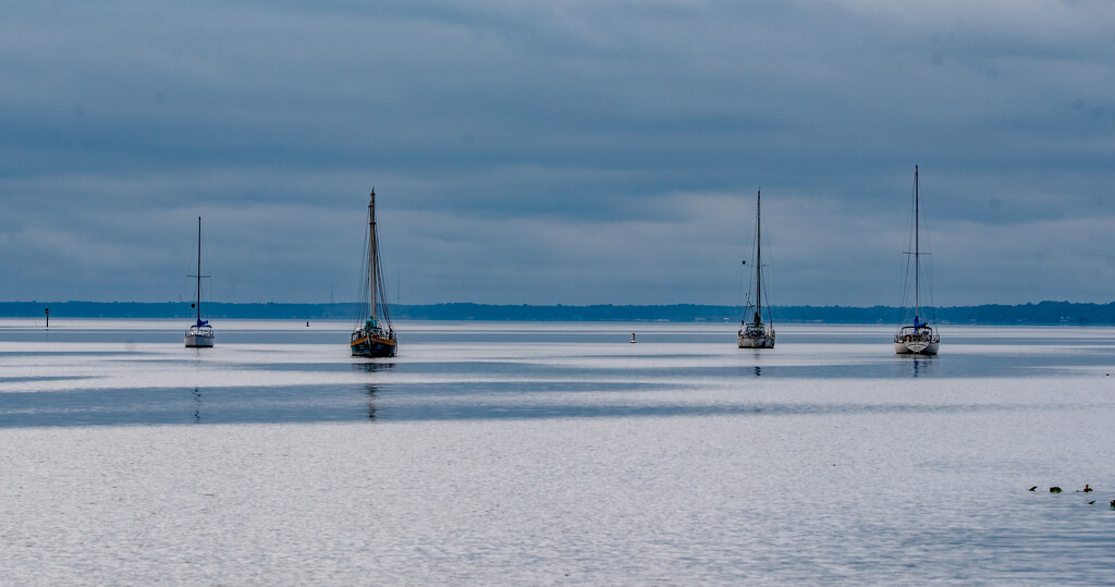 Sailboats at Anchor! by rickster549
