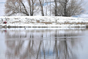7th Dec 2021 - Winter Pond