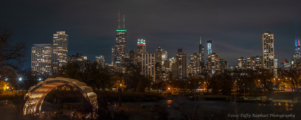 City Skyline from the Zoo by taffy