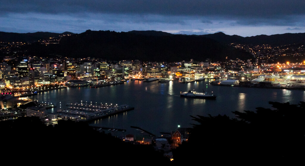 Welly at Night by helenw2