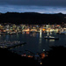 Welly at Night by helenw2