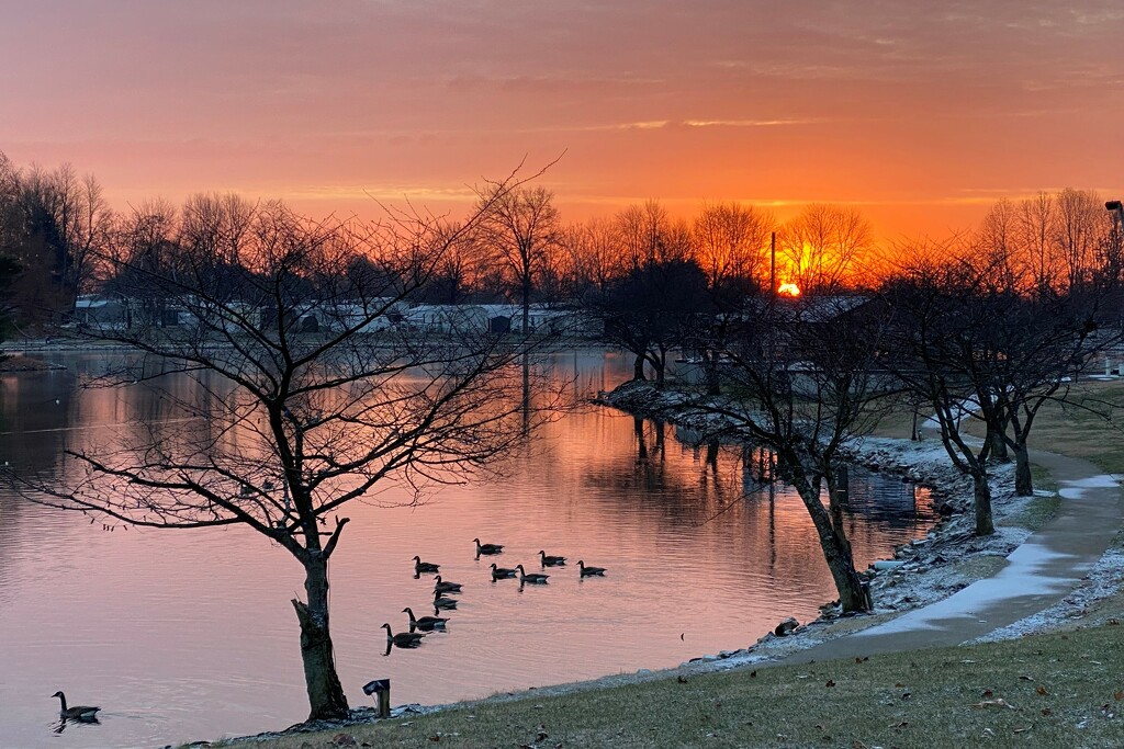 Sunrise at the park by tunia
