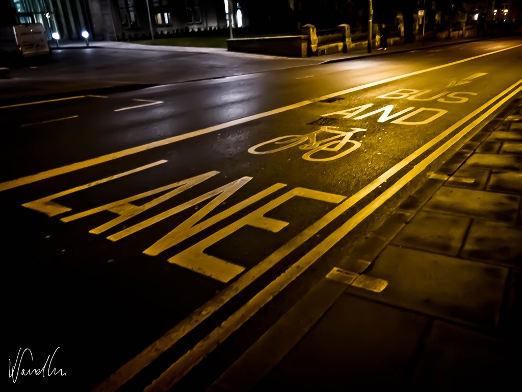 Bus and Bicycle Lane by vikdaddy