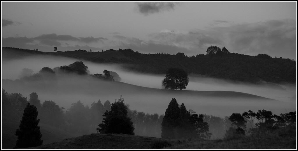 Waitomo fog by dide