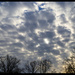 Mottled Clouds by hjbenson