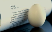 9th Dec 2021 - The Egg 