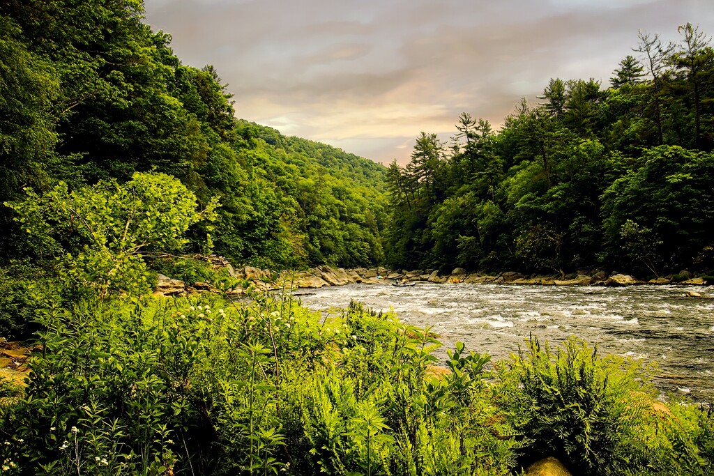Youghiogheny River by randy23