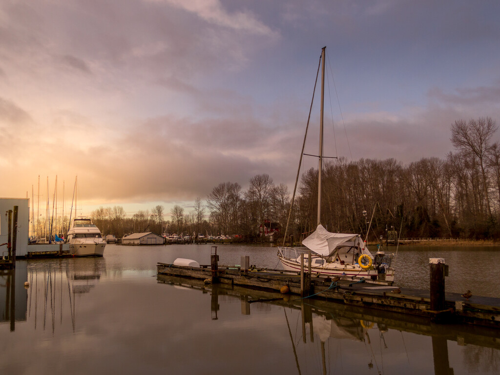 Ladner Harbour by cdcook48