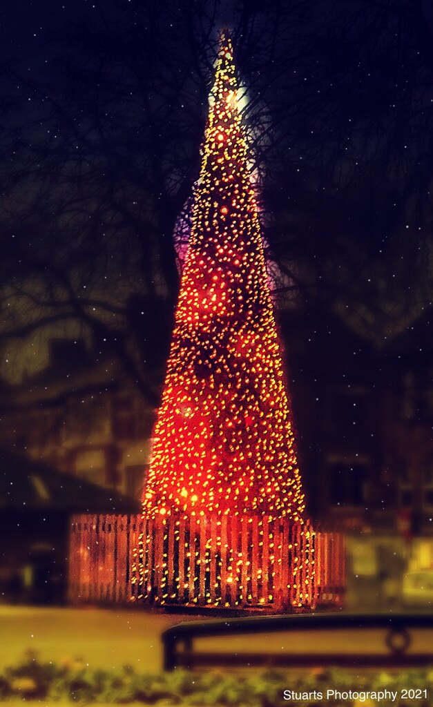 Christmas tree by stuart46