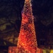 Christmas tree by stuart46