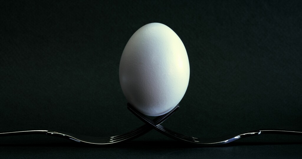 Two forks one egg by moonbi